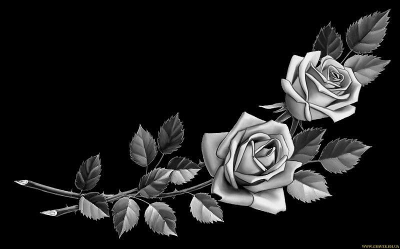 Две розы на памятник гравировка