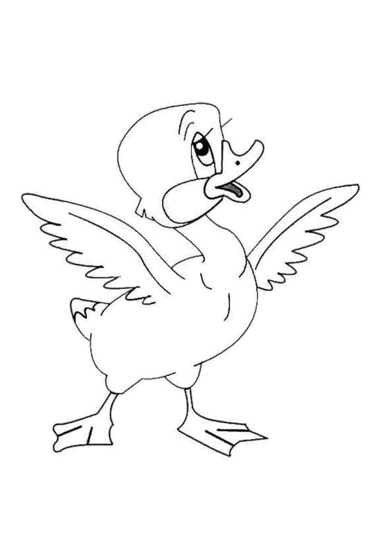 Андерсен Гадкий утенок раскраска