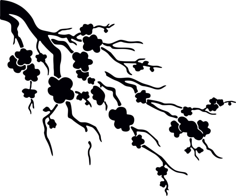 Ветви деревьев силуэт