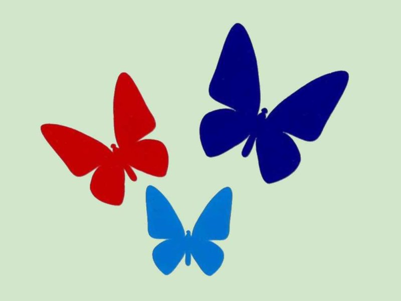 Бабочки для вырезания цветные
