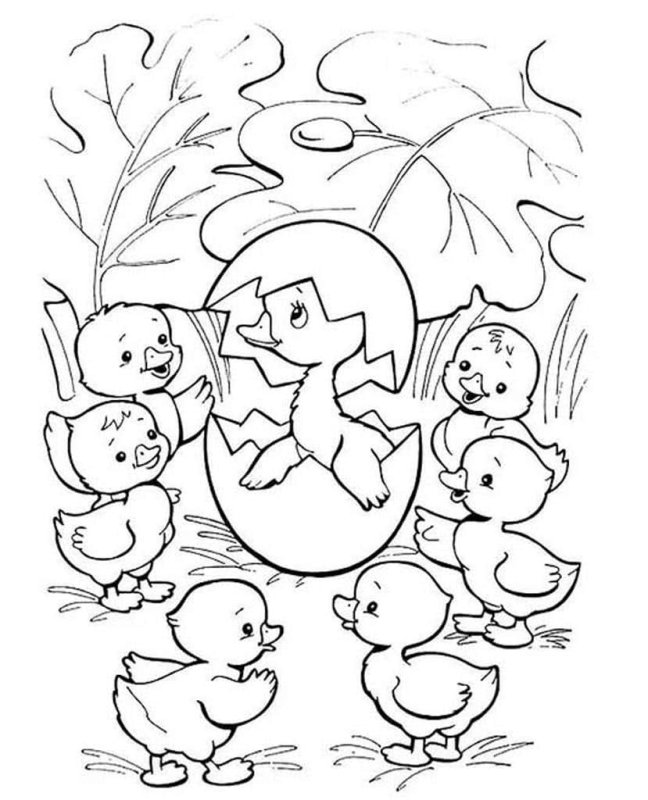 Гадкий утёнок раскраска для детей