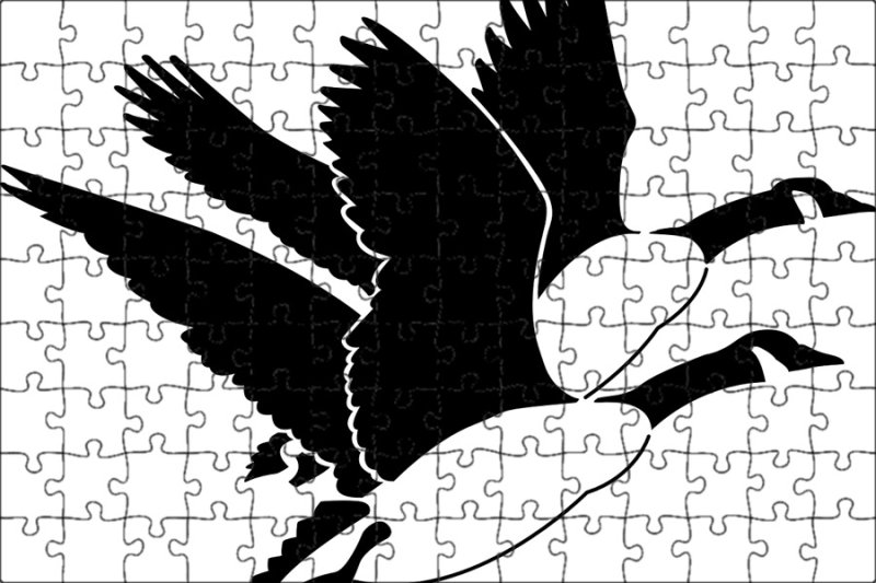 Трафарет птицы