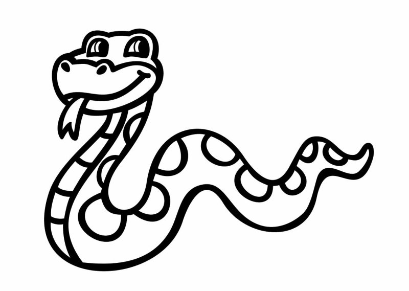 Змея контур