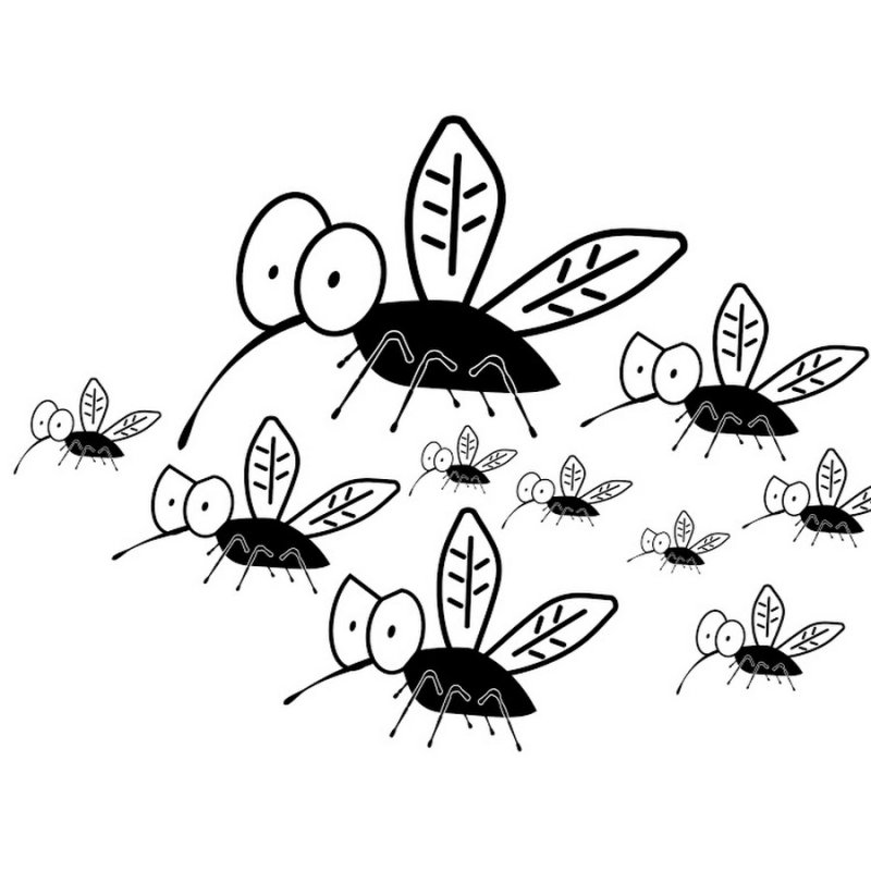 Мошка рисунок