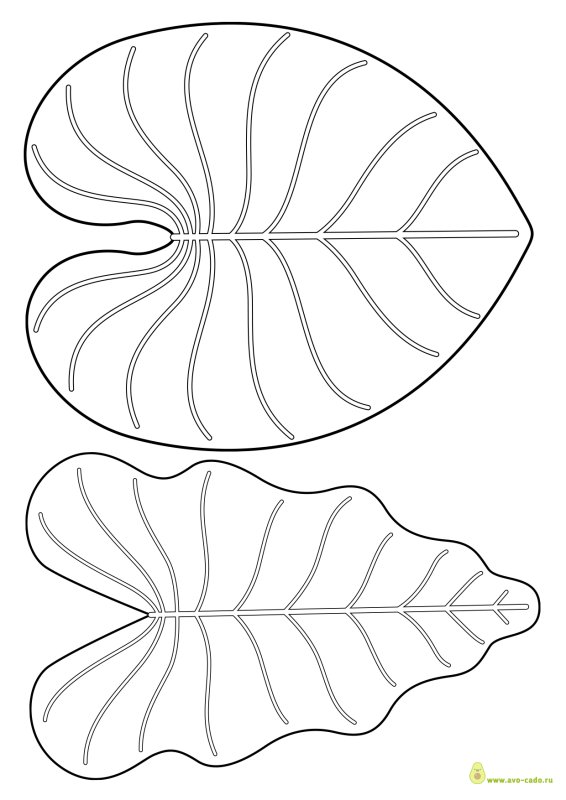 Лист кувшинки трафарет для вырезания