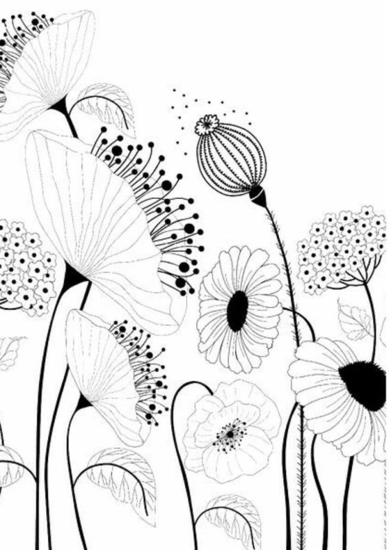 Цветы рисунок