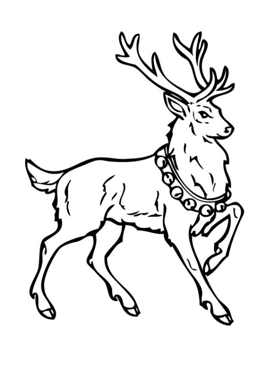 Олень раскраска