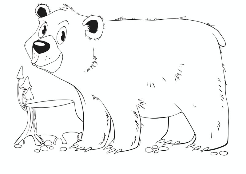 Медведь раскраска