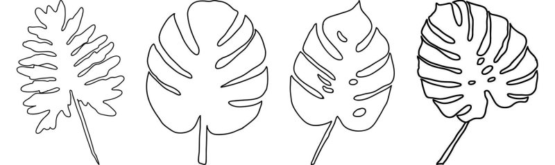 Трафареты "листья"