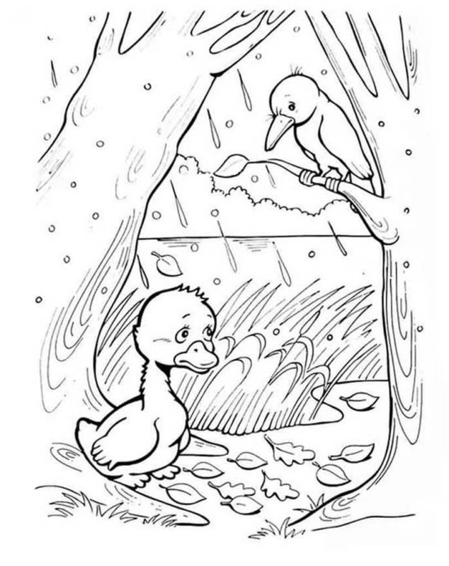 Г Х Андерсен Гадкий утенок раскраска