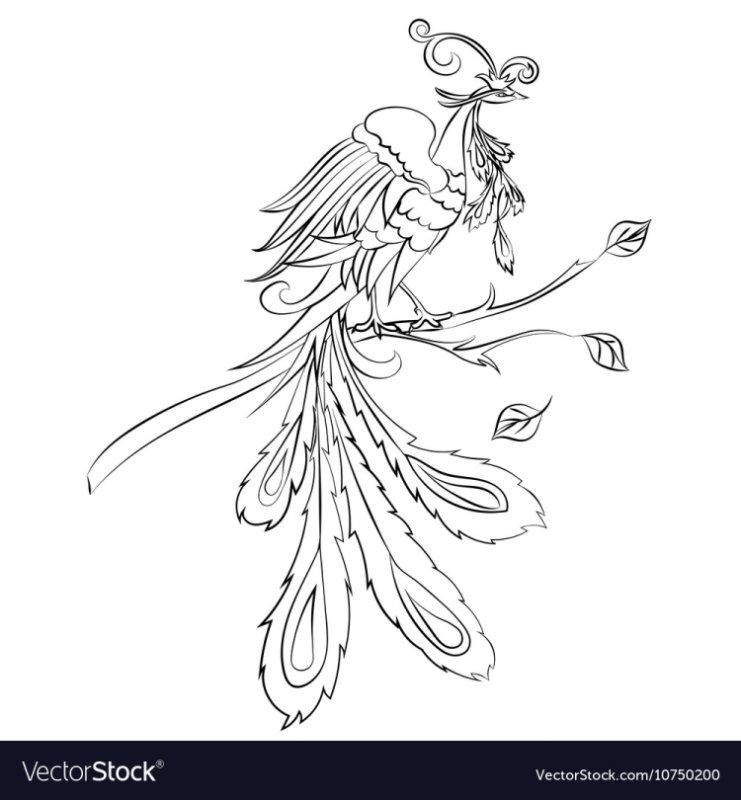 Жар птица раскраска