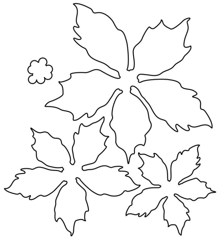 Пуансеттия трафарет