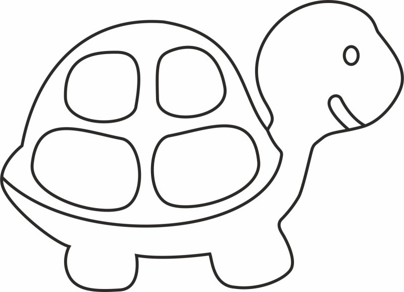 Черепашка раскраска для детей