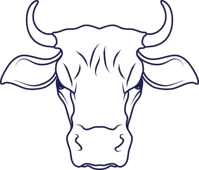 Контур головы коровы