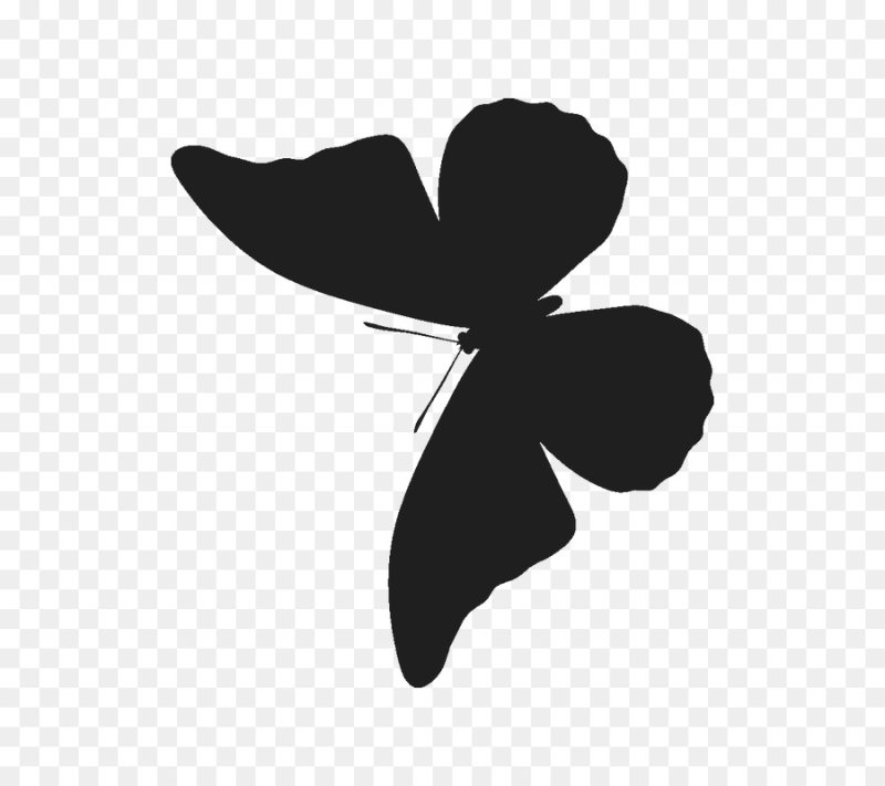 Трафареты бабочек для декора