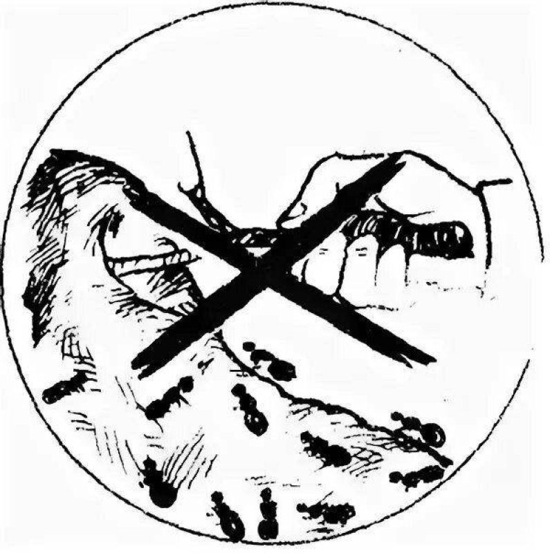 Экологические знаки природы