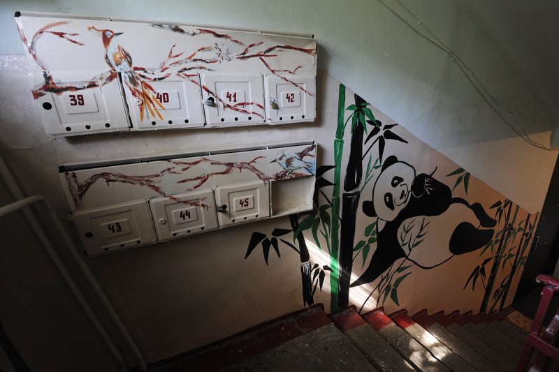 Разрисовать стены в подъезде