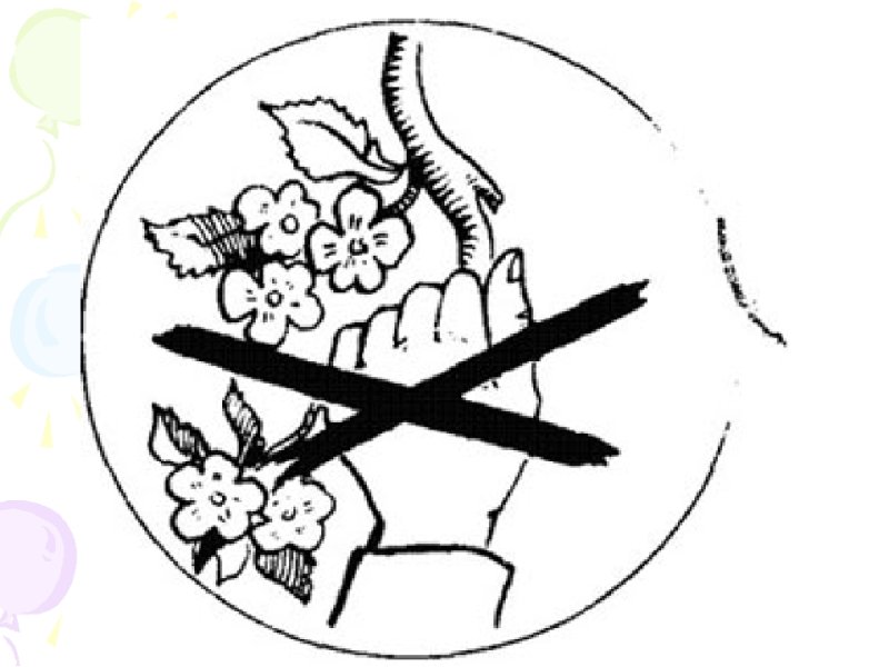 Символ природы