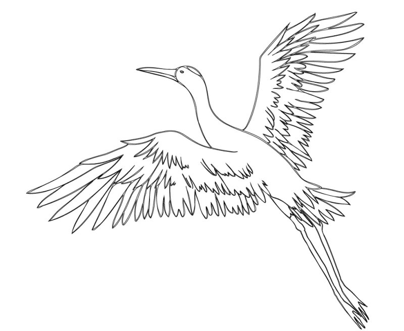 Журавль раскраска для детей