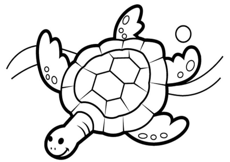 Черепашка раскраска для детей