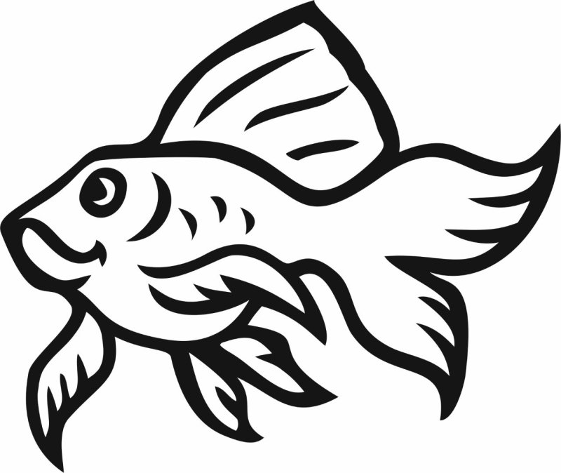 Трафарет рыбы