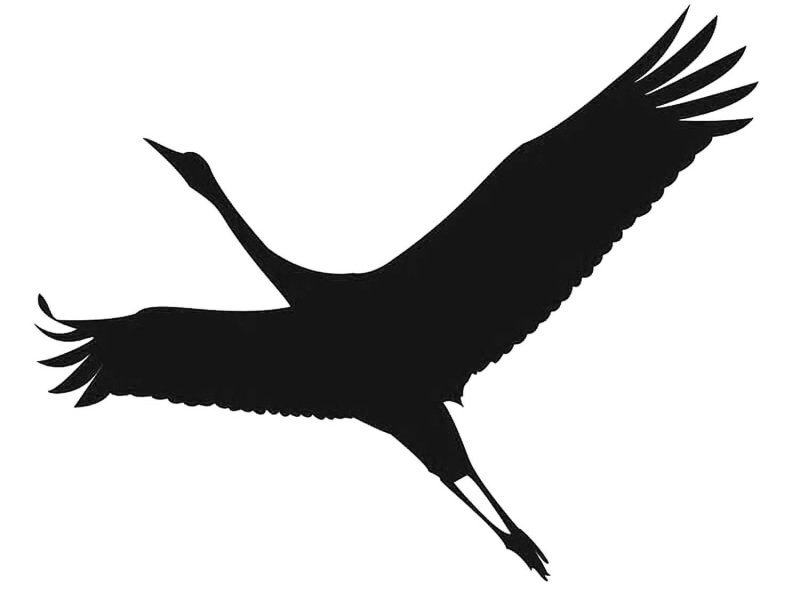 Трафарет журавлика