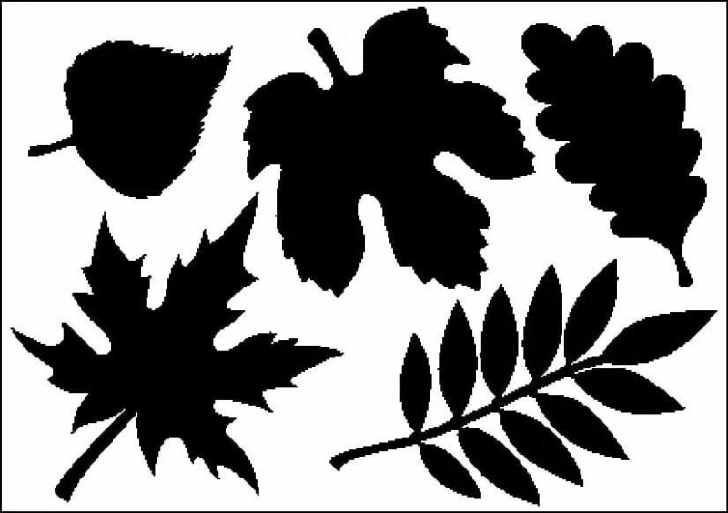 Трафареты для декора листья