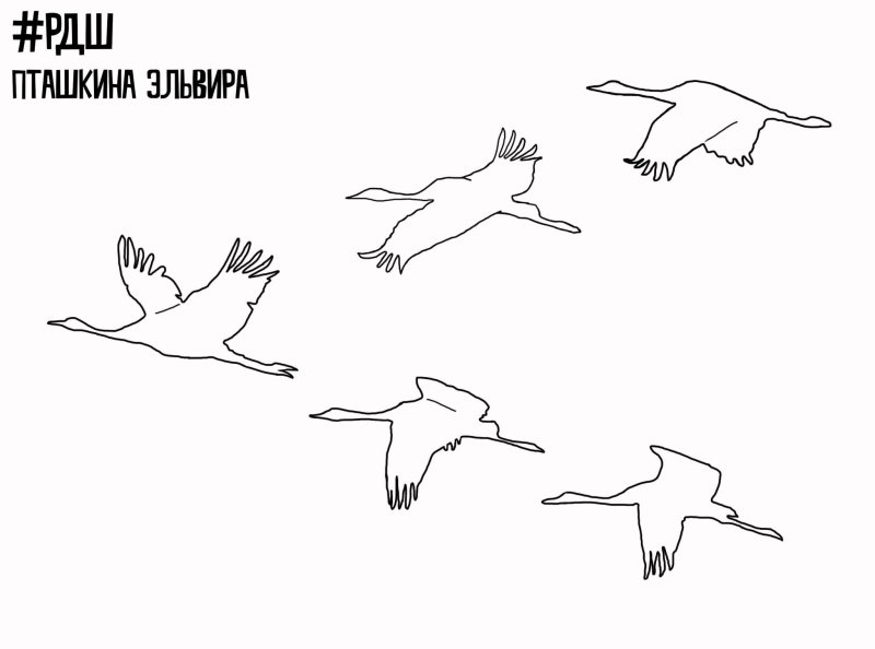 Журавли рисунки трафареты
