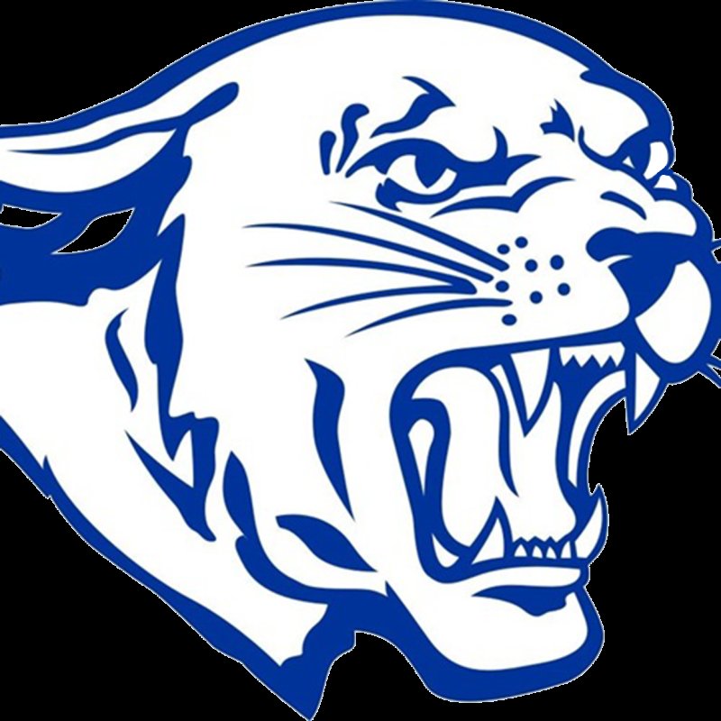 Пантера эскиз