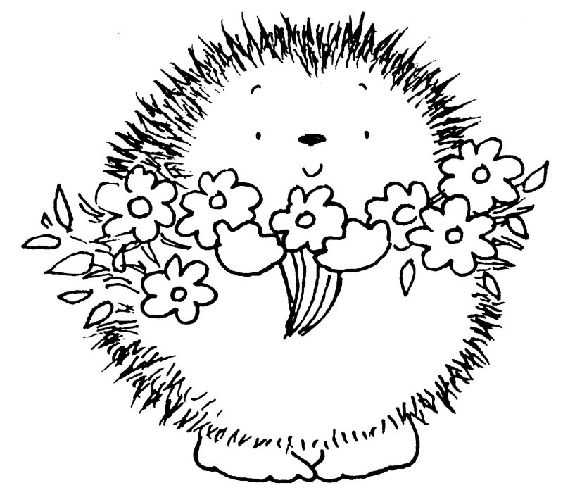 Еж раскраска