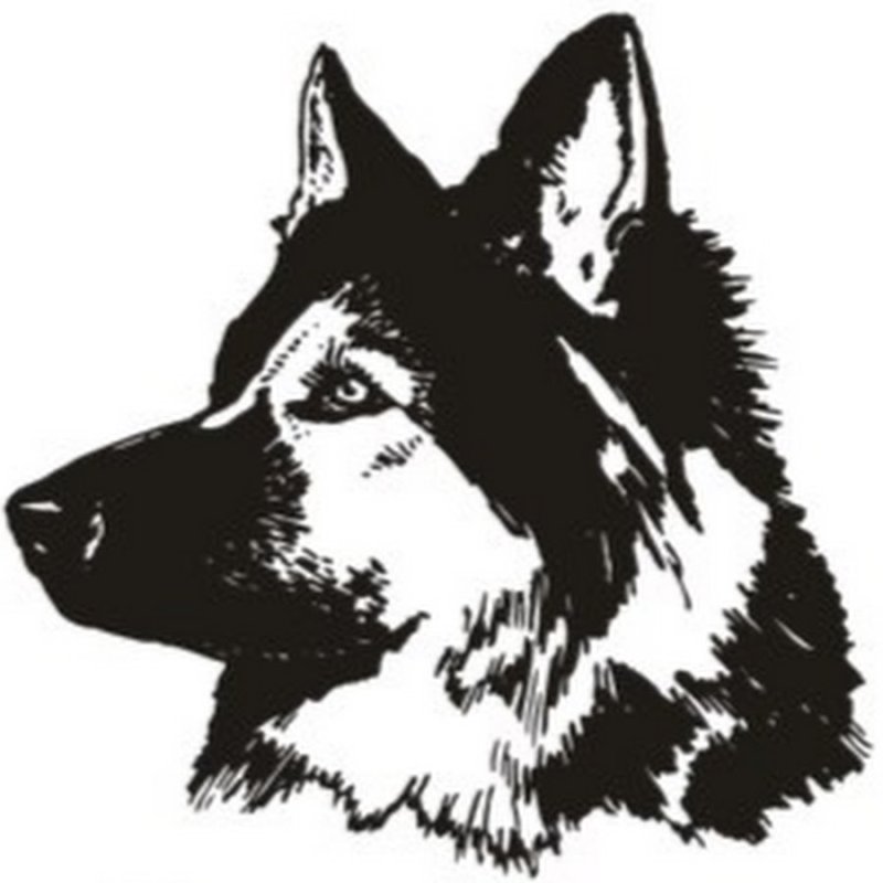 Осторожно, злая собака!