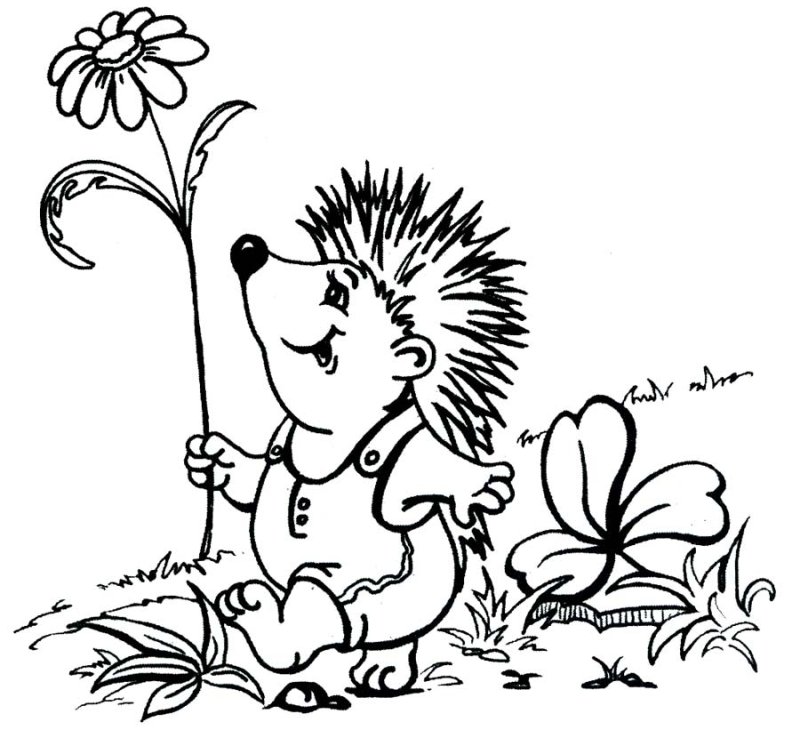 Еж раскраска для детей