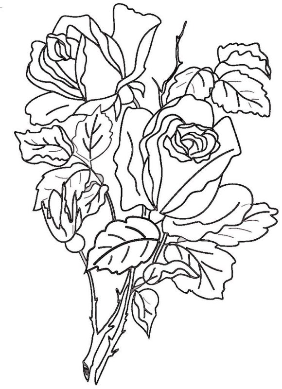 Раскраски цветы красивые