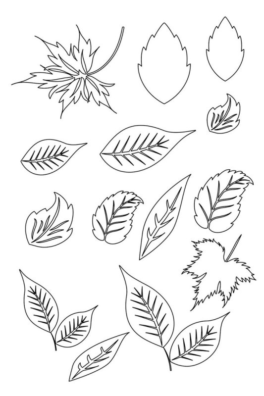 Листья трафареты для вырезания из бумаги