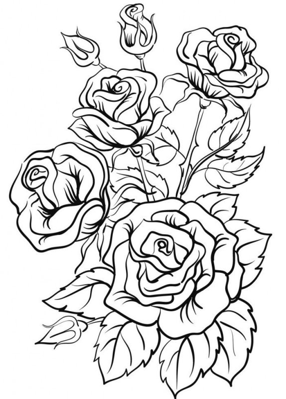 Цветы рисунок