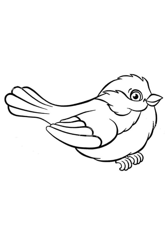 Синица раскраска