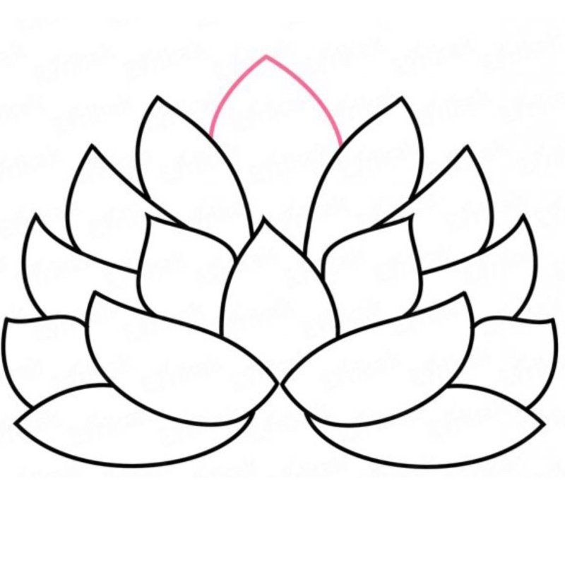 Лотос раскраска для детей