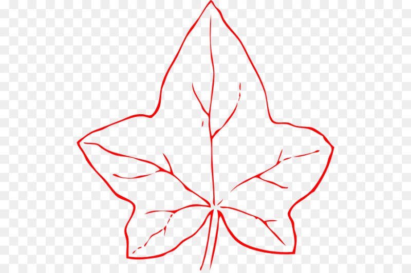 Листья рисунок