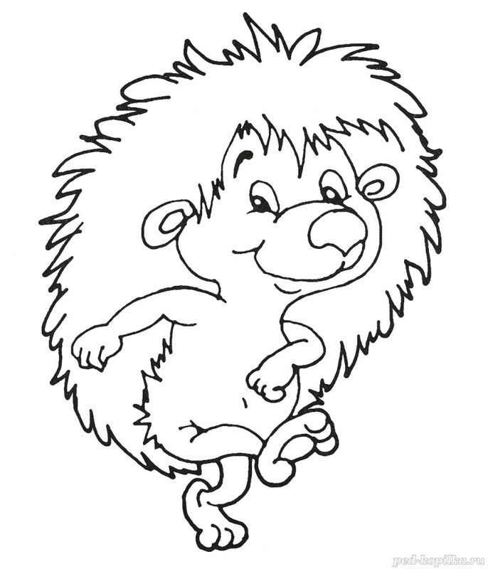 Ёжик раскраска для детей