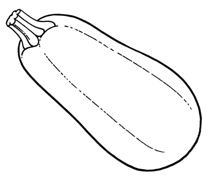 Овощи раскраска для детей