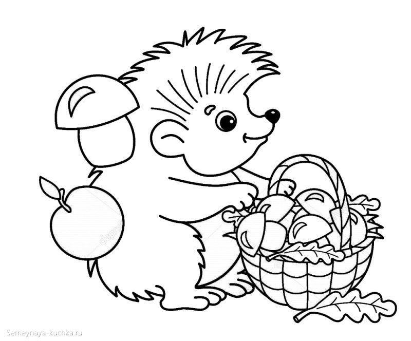 Ежик с грибами раскраска