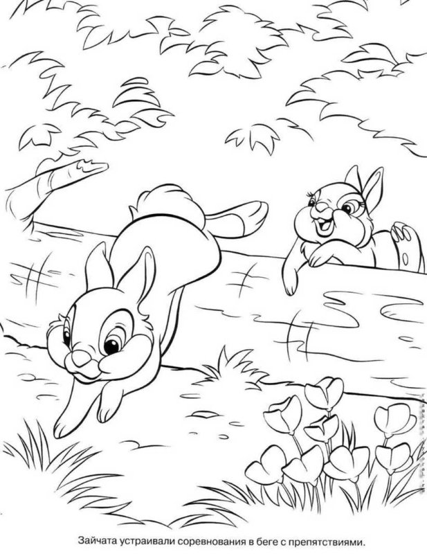 Раскраска пейзаж с животными для детей