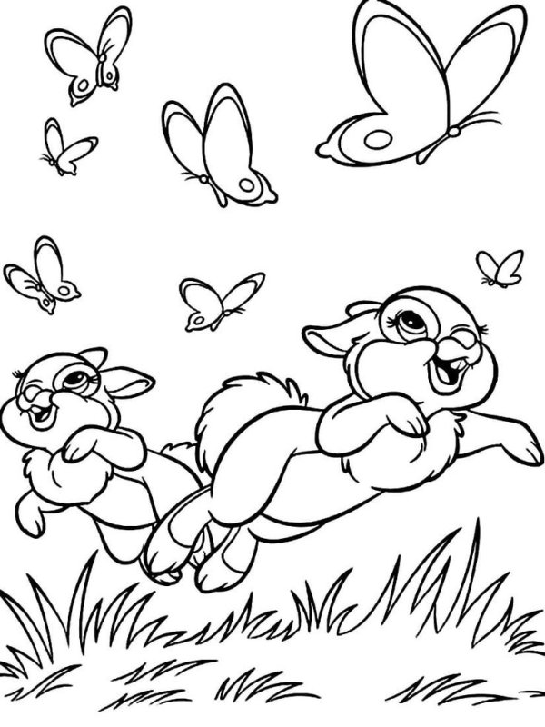 Заяц из Бэмби раскраска