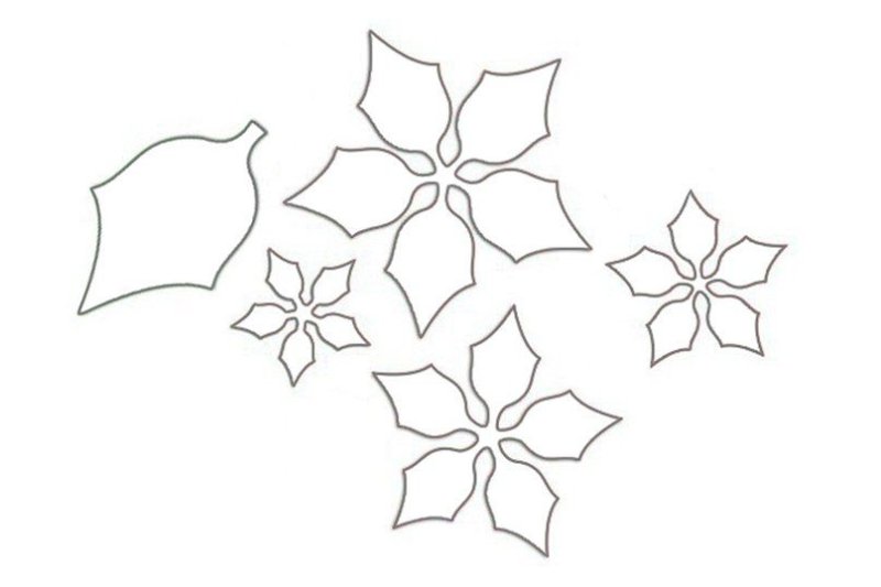 Шаблон Рождественского цветка
