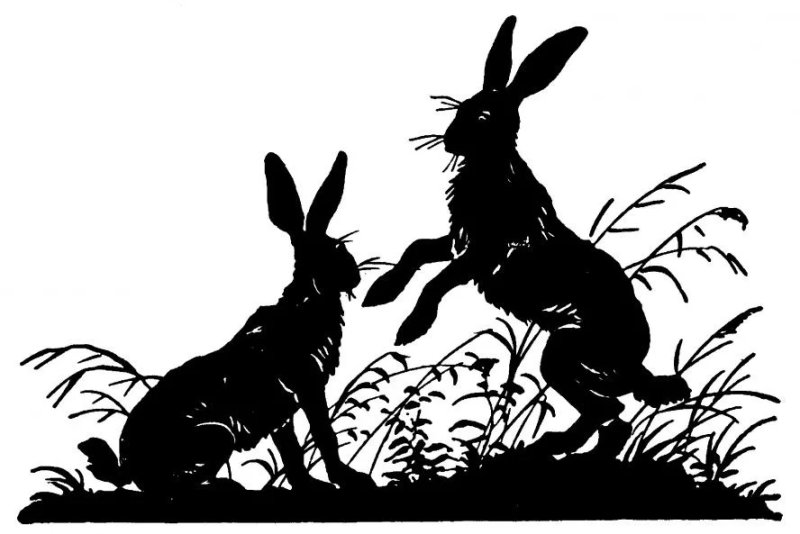 Силуэт кролика