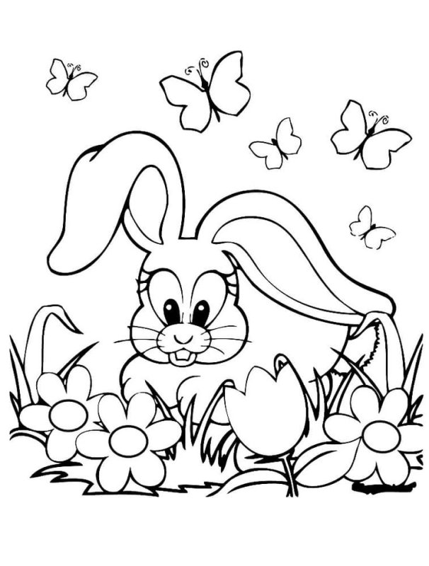 Раскраски для девочек зайчики