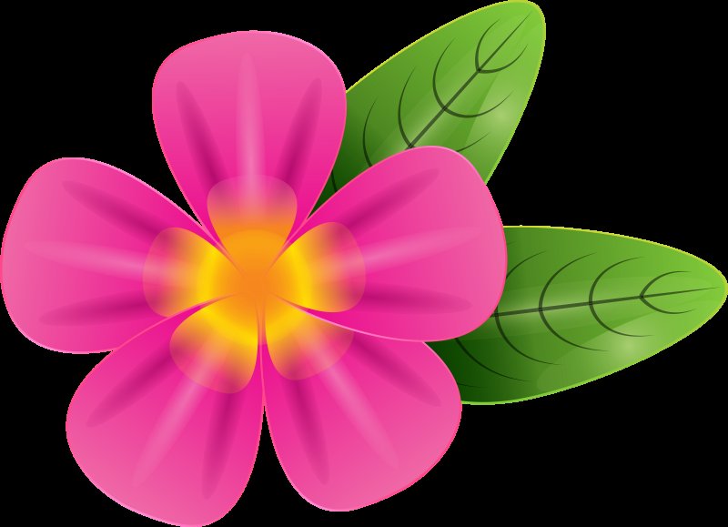 Разноцветные цветочки