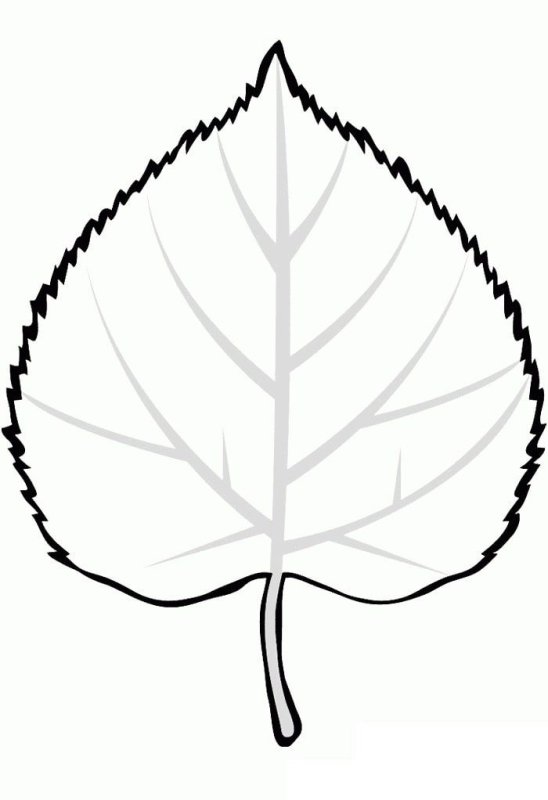 Листья раскраска