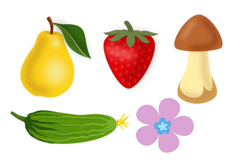 Овощи для вырезания для детей