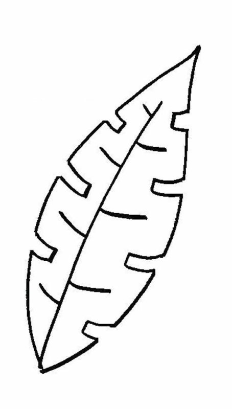 Трафареты "листья"